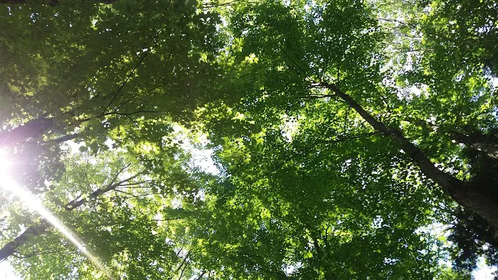 Maple Heights Campground 8