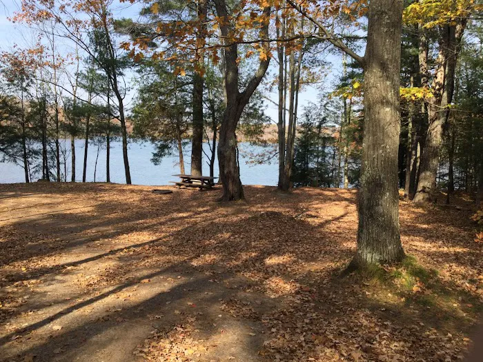 Himley Lake Campsites 0