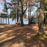 Himley Lake Campsites