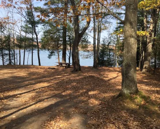 Himley Lake Campsites