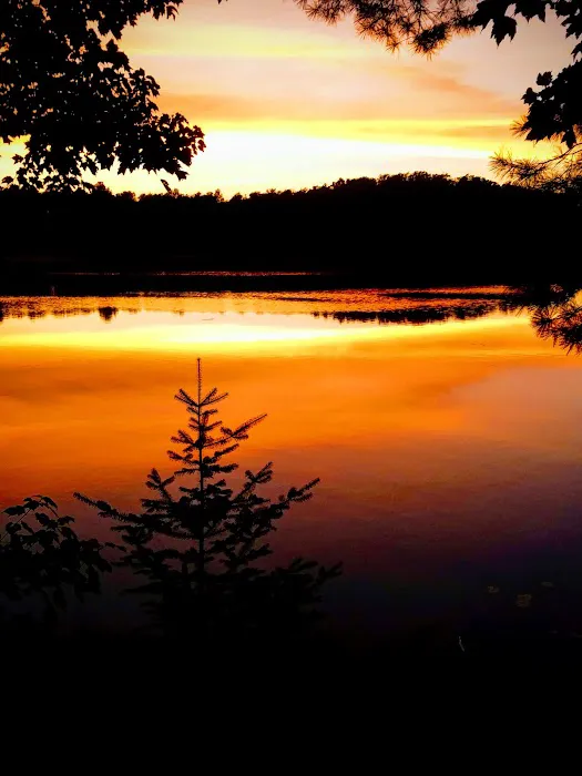 Himley Lake Campsites 6