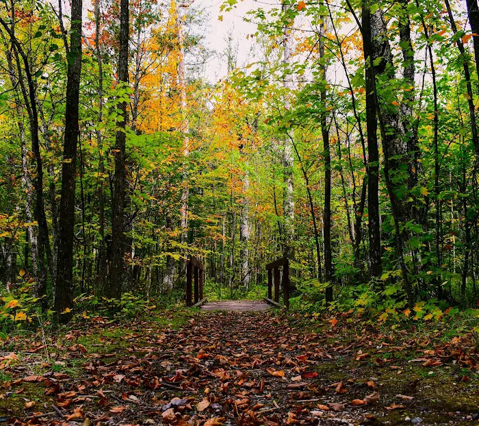 Ada Lake Campground 6