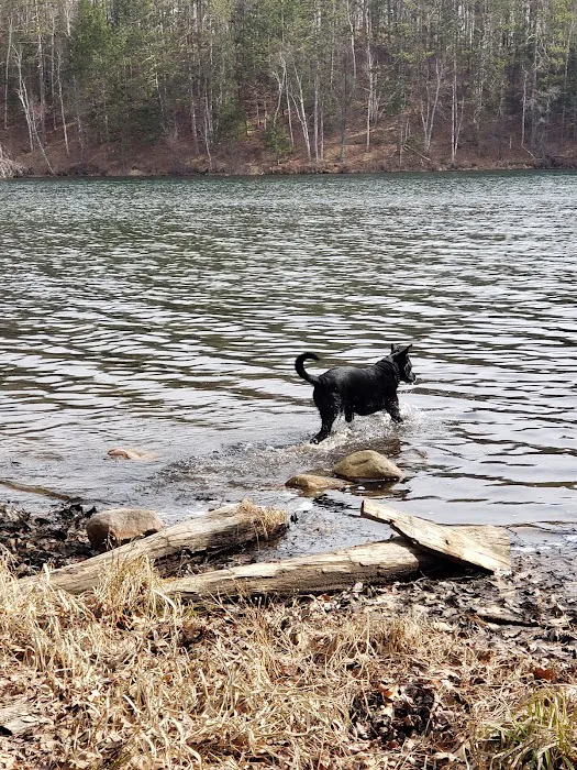 Boot Lake Campground 9