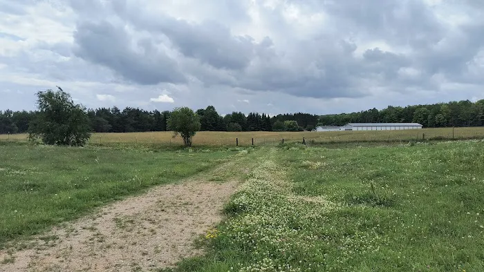 Crandon Country Camping 3