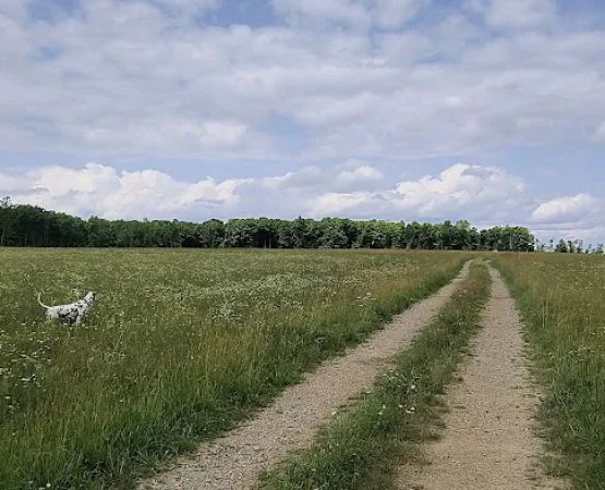 Crandon Country Camping - Hilltop Meadow