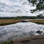 Laurel Lake Campground