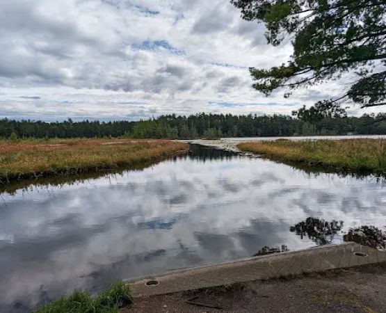 Laurel Lake Campground