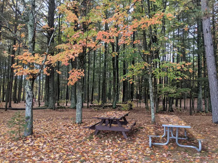 Laurel Lake Campground 1