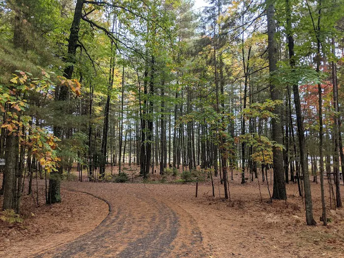 Laurel Lake Campground 8