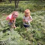 Rohr's Wilderness Tours