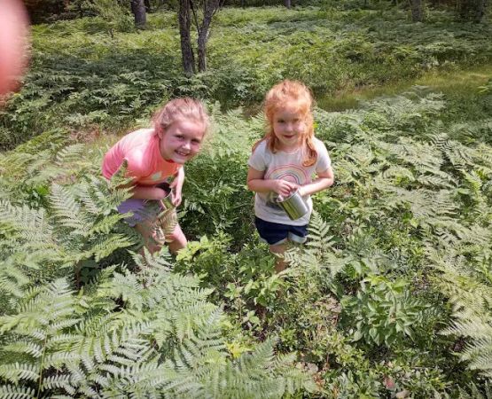 Rohr's Wilderness Tours