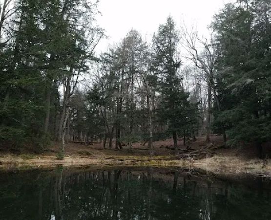 Eagle Campground