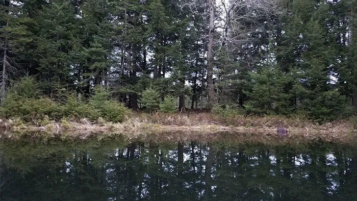 Eagle Campground 7