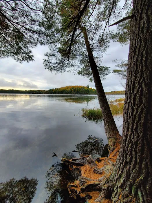 Loon Campground 3