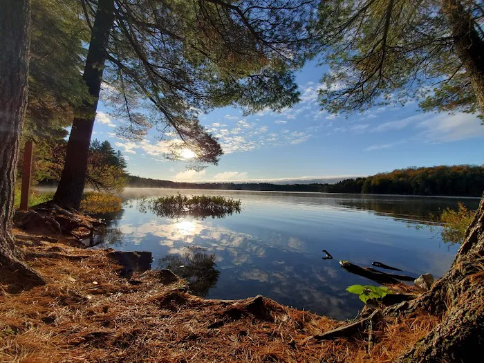 Loon Campground 4