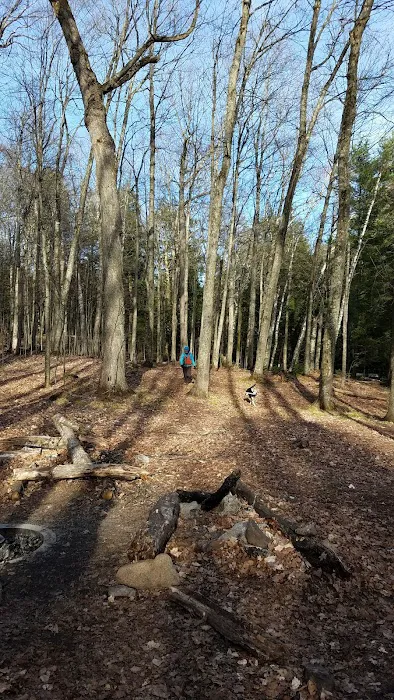 Loon Campground 8