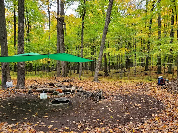Loon Campground 6