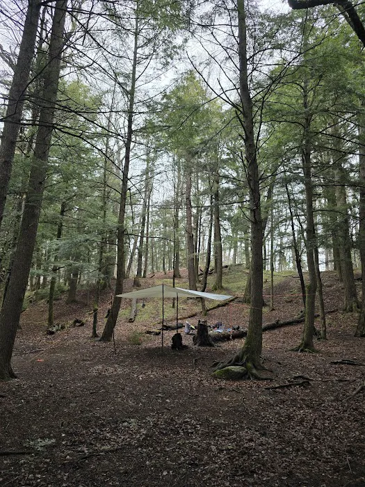 Birch Campground 2