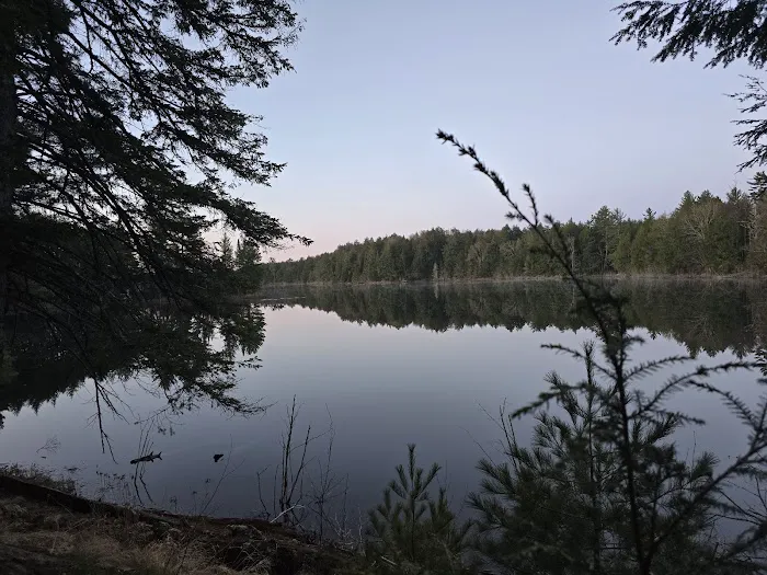 Birch Campground 1