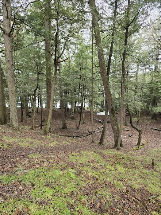 Birch Campground 4