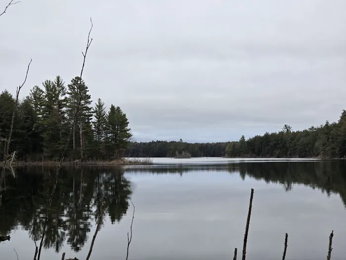 Birch Campground 9