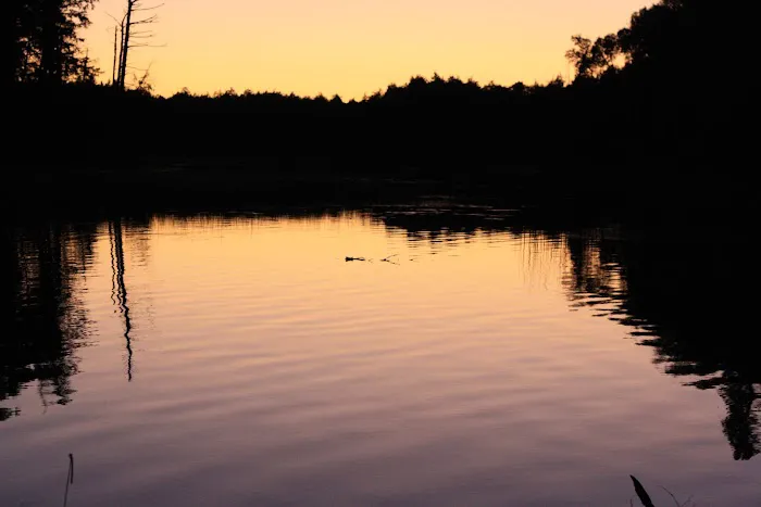 Bass Campground 0