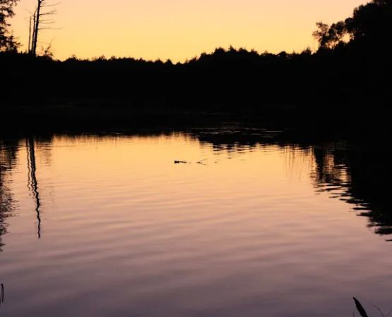 Bass Campground