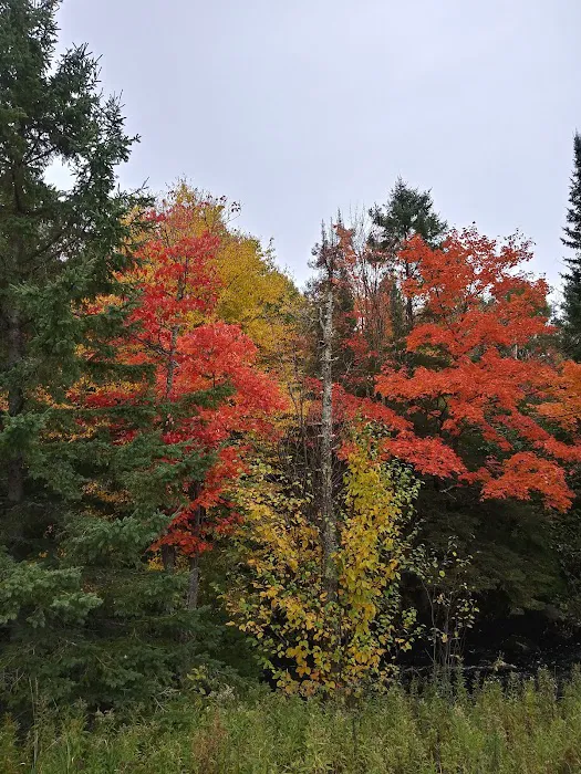 Schomberg County Park Campground 2