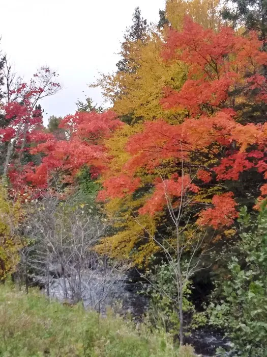 Schomberg County Park Campground 7