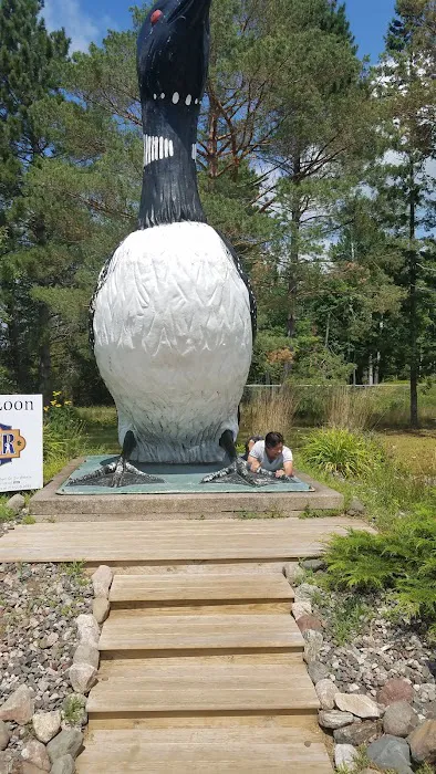Loon Lagoon 9