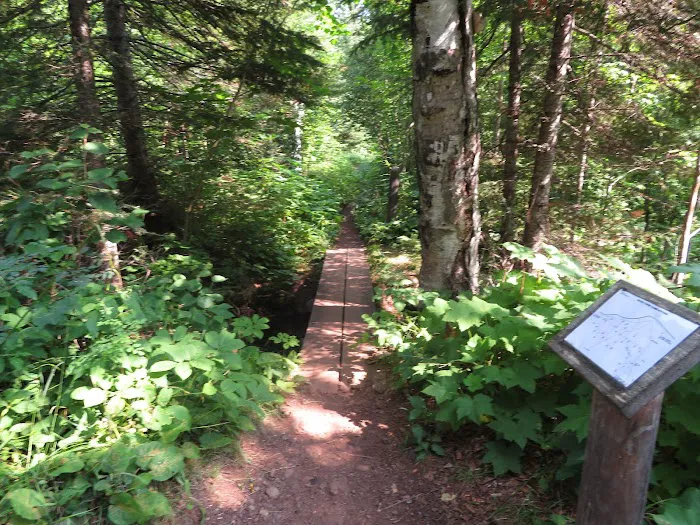 Daisy Farm Campground 5