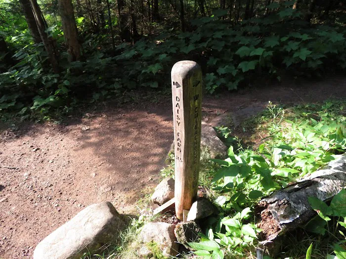 Daisy Farm Campground 8