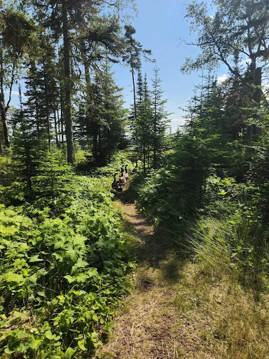 Caribou Island Campground 9