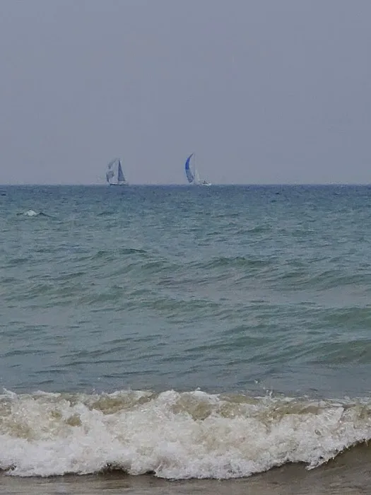 Sanilac County Forester Campground 8