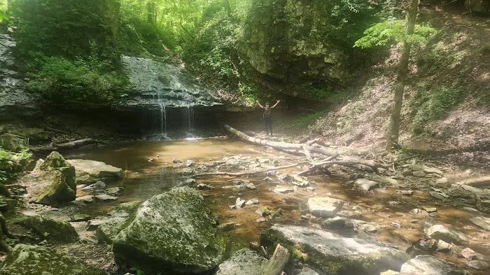 Salamonie River State Forest Family Campground 1