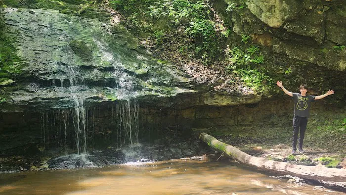 Salamonie River State Forest Family Campground 4