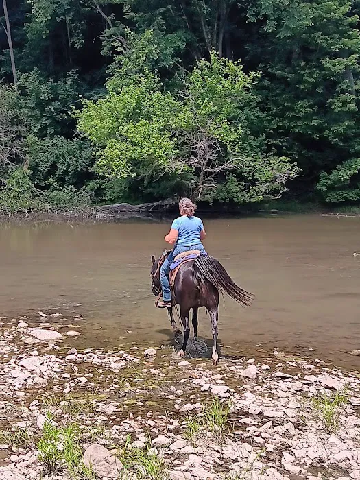 Salamonie River State Forest Family Campground 5