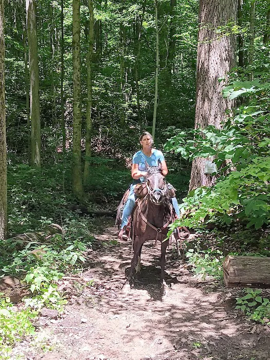 Salamonie River State Forest Family Campground 3