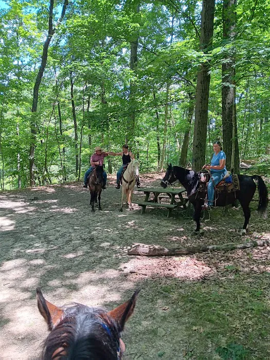 Salamonie River State Forest Family Campground 6