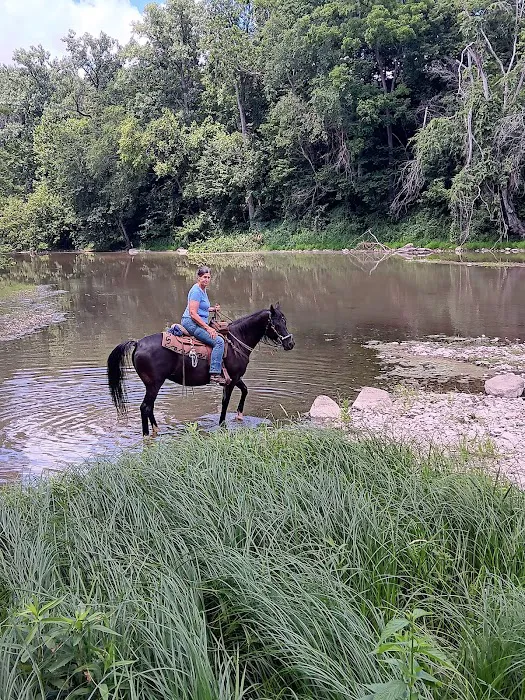 Salamonie River State Forest Family Campground 7