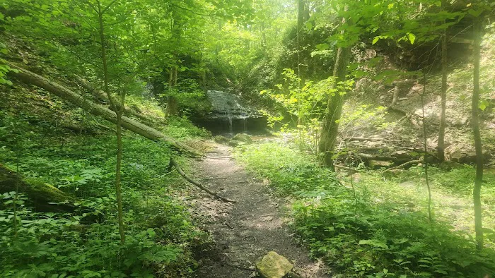 Salamonie River State Forest Family Campground 8