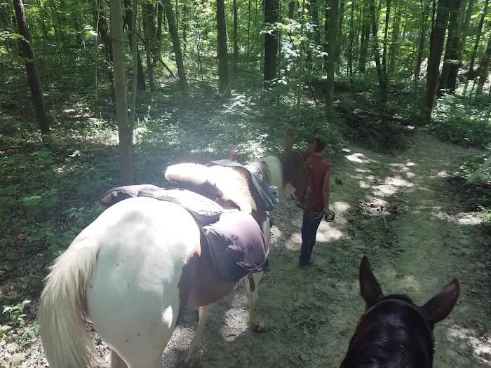 Salamonie River State Forest Horseman's Camp 1