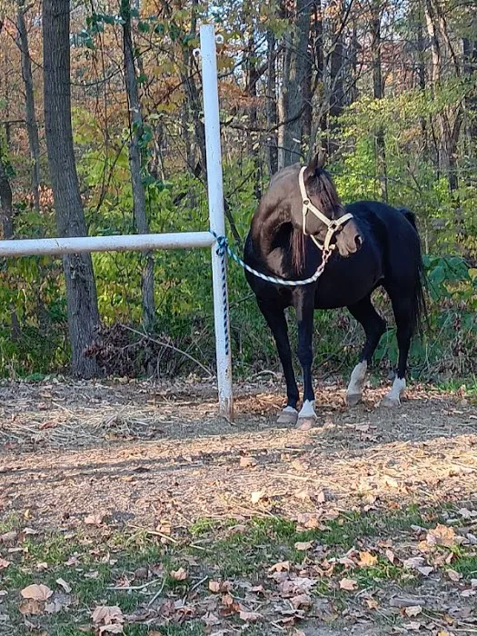 Salamonie River State Forest Horseman's Camp 0