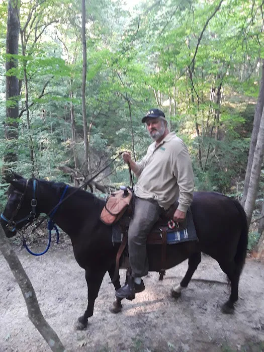 Salamonie River State Forest Horseman's Camp 4