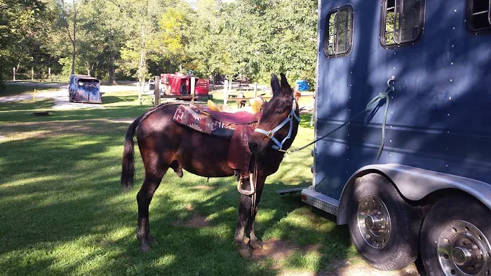Salamonie River State Forest Horseman's Camp 3