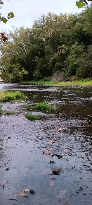 Salamonie River State Forest Horseman's Camp 9