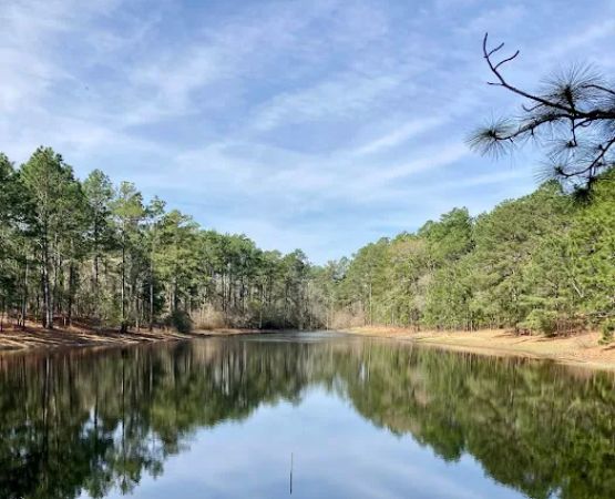 Spacious Skies Campgrounds - Sandy Run