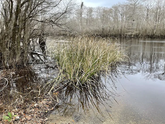 Sampson Landing 3