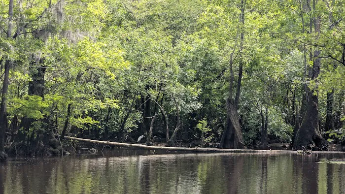 Sampson Landing 7