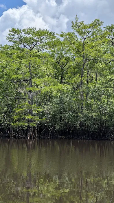 Sampson Landing 8